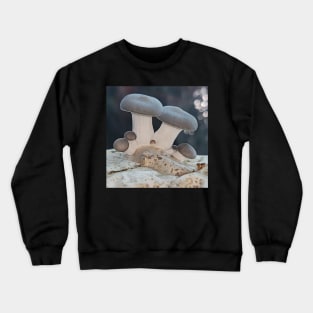 New Pearl Oyster Mushrooms Crewneck Sweatshirt